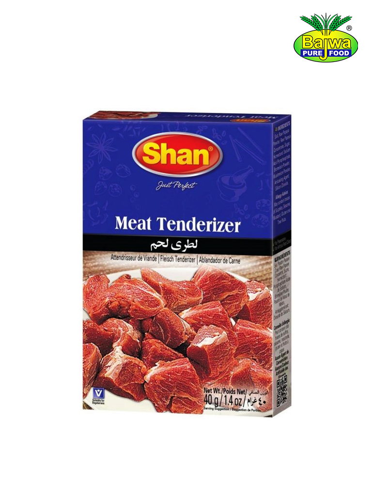 Shan Meat Tenderizer 100g