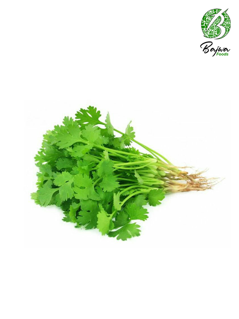 Fresh Coriander (1 Stuck) -Dhania