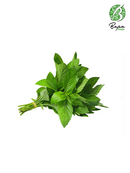 Fresh Mint -Pudina Leaves (1 stuck)